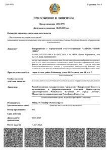страница2